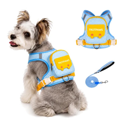 Mochila de Paseo HappyWalk