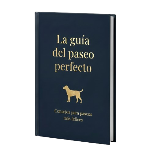 Free Ebook "The Perfect Walk Guide"