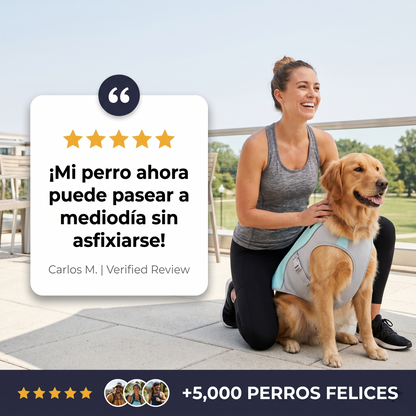 HappyWalk™ Chaleco refrescante para perros