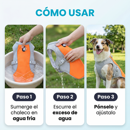 HappyWalk™ Chaleco refrescante para perros